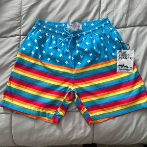 Rainbow Flag Swim Trunks  🌈